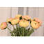 Ranunculus - 19.5 Inches Box of 12-2146916286
