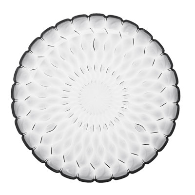 Jelly Acrylic Dinner Plate