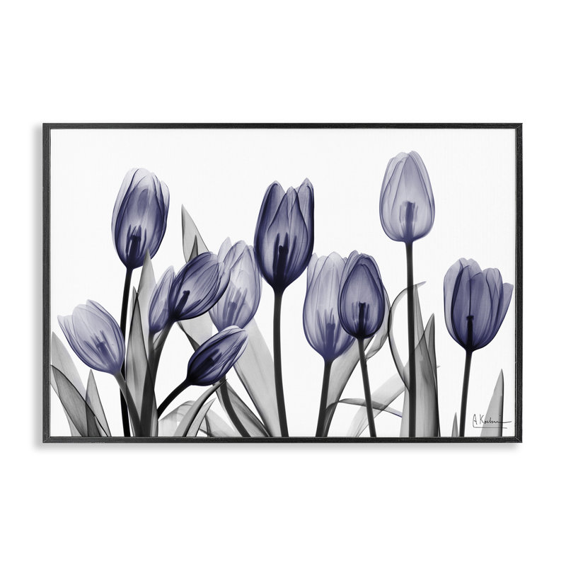 «Dramatic Dusk Blue Tulip Art» par Albert Koetsier, H 12 po x l 18 po, Giclée encadrée noir minuit