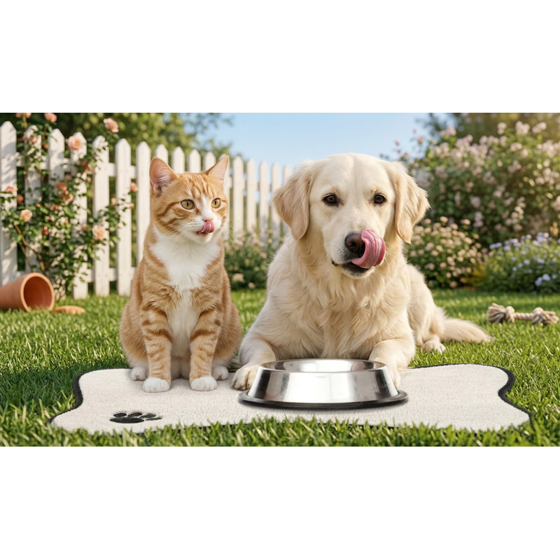Ensemble de 2 tapis d'alimentation en microfibre anti-dérapant absorbant en forme d'os, brodés, pour bols sous chien, 2 couleurs