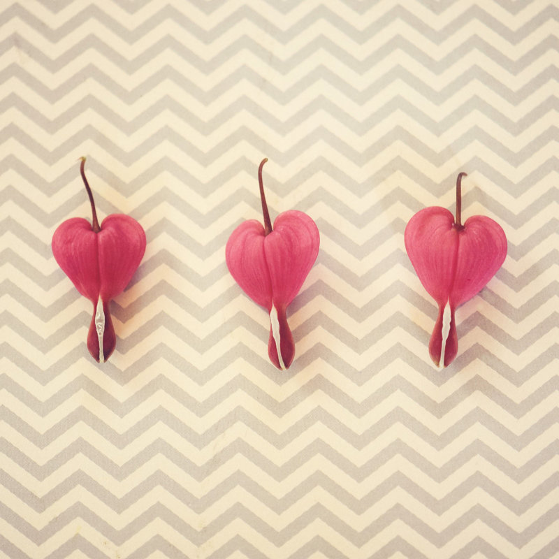 Chevron Hearts by Robert Dickinson - Wrapped Canvas Print, 81cm H x 81cm W x 4cm D