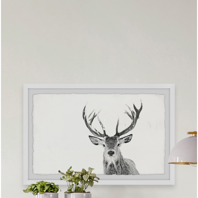 « Majestic panache »-reproduction de photo sur papier encadrée, H 30 po x l 45 po x P 1,5 po