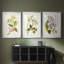Tree in Bloom IV  -Custom Framed  Premium Print W Matt - 3 Pieces-220193853