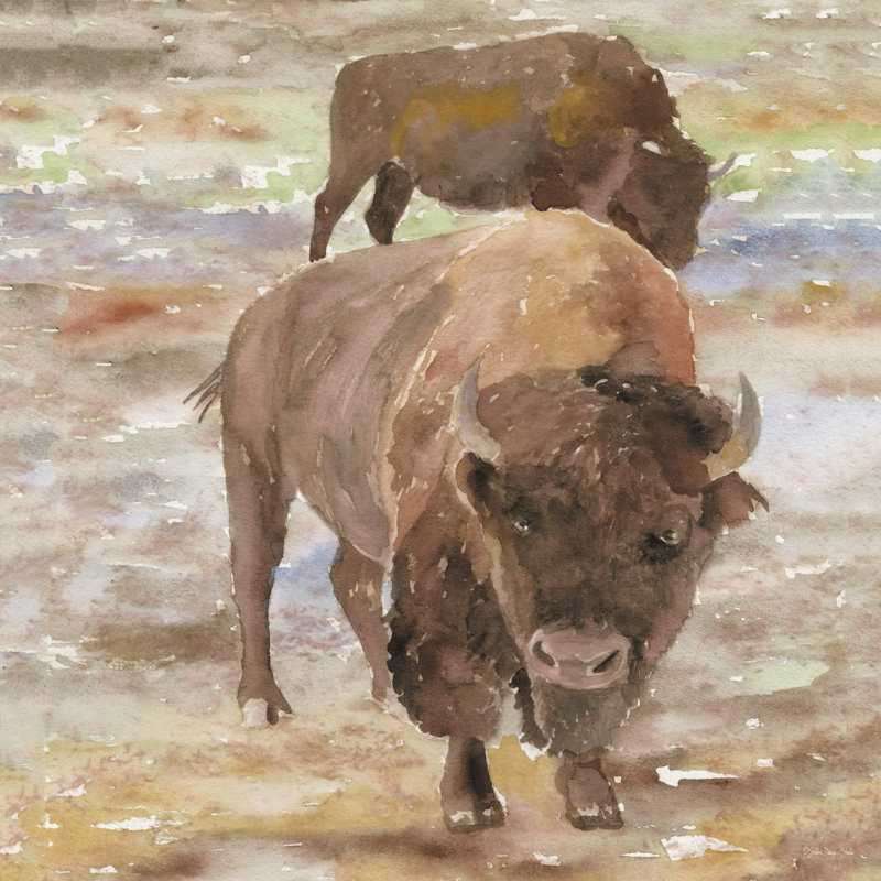«Great Buffalo» par Stellar Design Studio - impression, H 12 po x l 12 po, Toile tendue