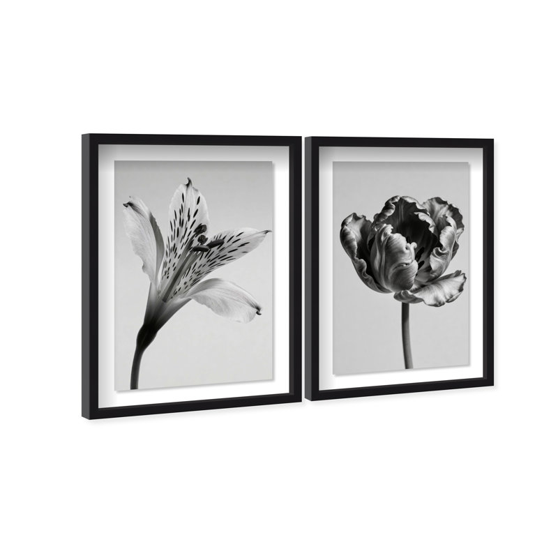 Peeking Flowers Set Shadowbox Floral & Botanical Print by Oliver Gal, Black Frame, 10 x 15, 25.5"H x 37.5"W, Black Shadowbox