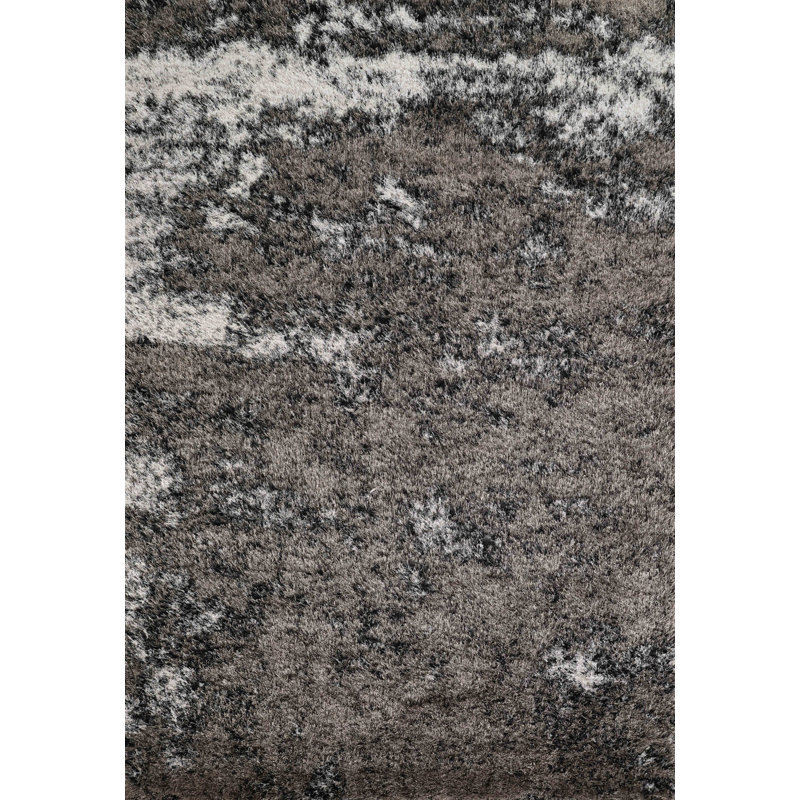 Tarbox Solid Colour Shag Area Rug, Rectangle 200 x 290cm