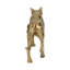 Figurine Fierce Lioness Sculpture