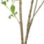 Arbre artificiel 59,1 po en pot
