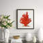 Red Coral Illustration II Framed