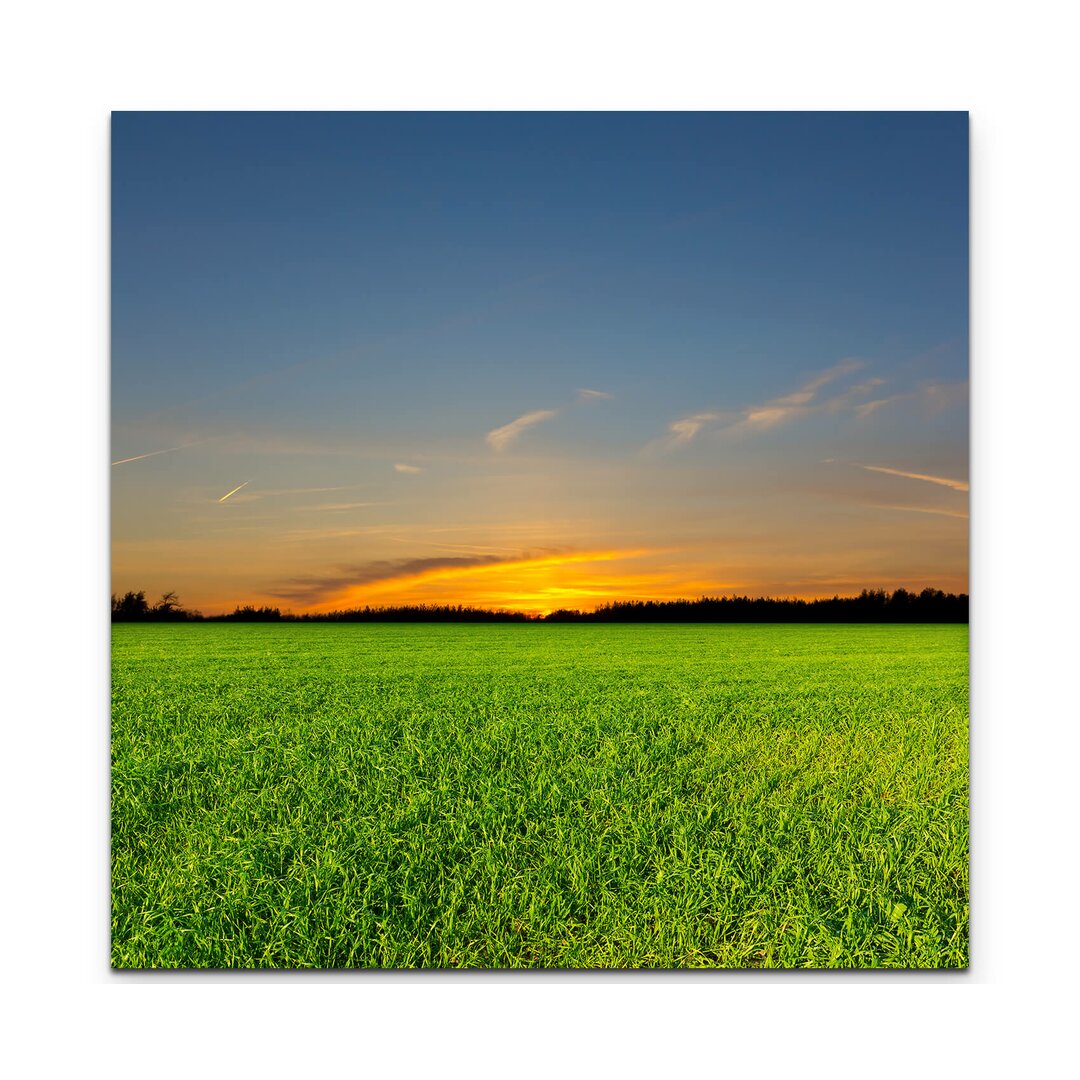 Leinwandbild Grüne Wiese im Sonnenuntergang