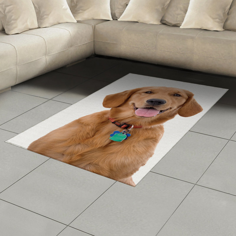 Golden Retriever High Density Long Fiber Poly Threads Decorative Area Rug Carpet, Rectangle 4' x 5'8"