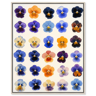 «Pansy Patch Grid I», reproduction d'art sur toile par Art Remedy