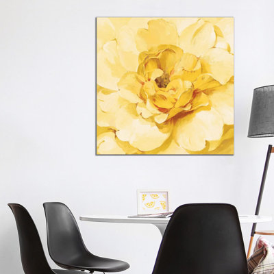 Pivoine jaune