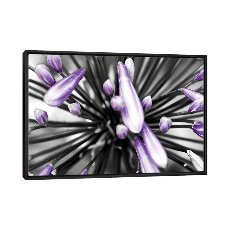 « mauve fleur », reproduction de photo sur toile tendue, H 8 po x l 18 po x P 26 po, Toile avec cadre noir, Pas de tapis