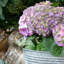 Ribbed Metal Planter-28165618-28165620