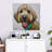 Crowle Goldendoodle Olivia-111886897