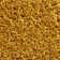 Shirag Yellow Rug