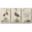 Antique Heron I, ensemble de 3 toiles encadrées sur toile-97759474-97759475
