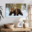 Adulte grizzly-107671338