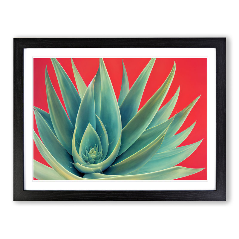 Spellbinding Aloe Vera Plant - Framed Print, Black Frame, 46cm H x 64cm W