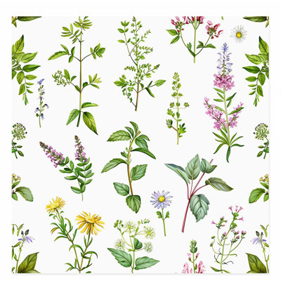 «Botanical Plants & Herbs», impression d'art sans cadre