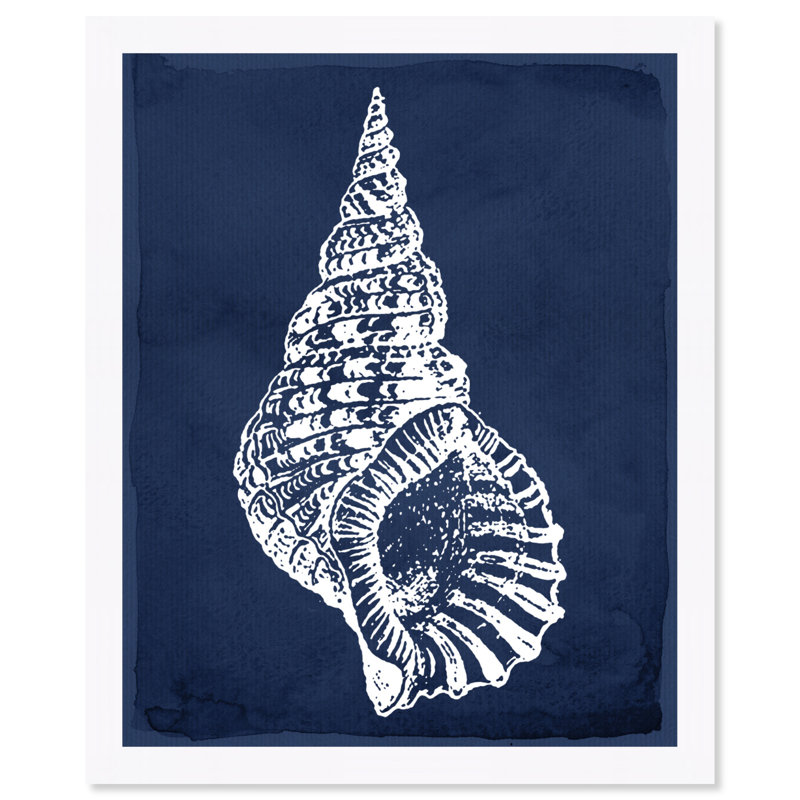 « navega shell marine », impression encadrée, H 24 po x l 20 po x P 1,5 po