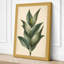 Study Botanical - Wrapped Canvas-2941590-2941594