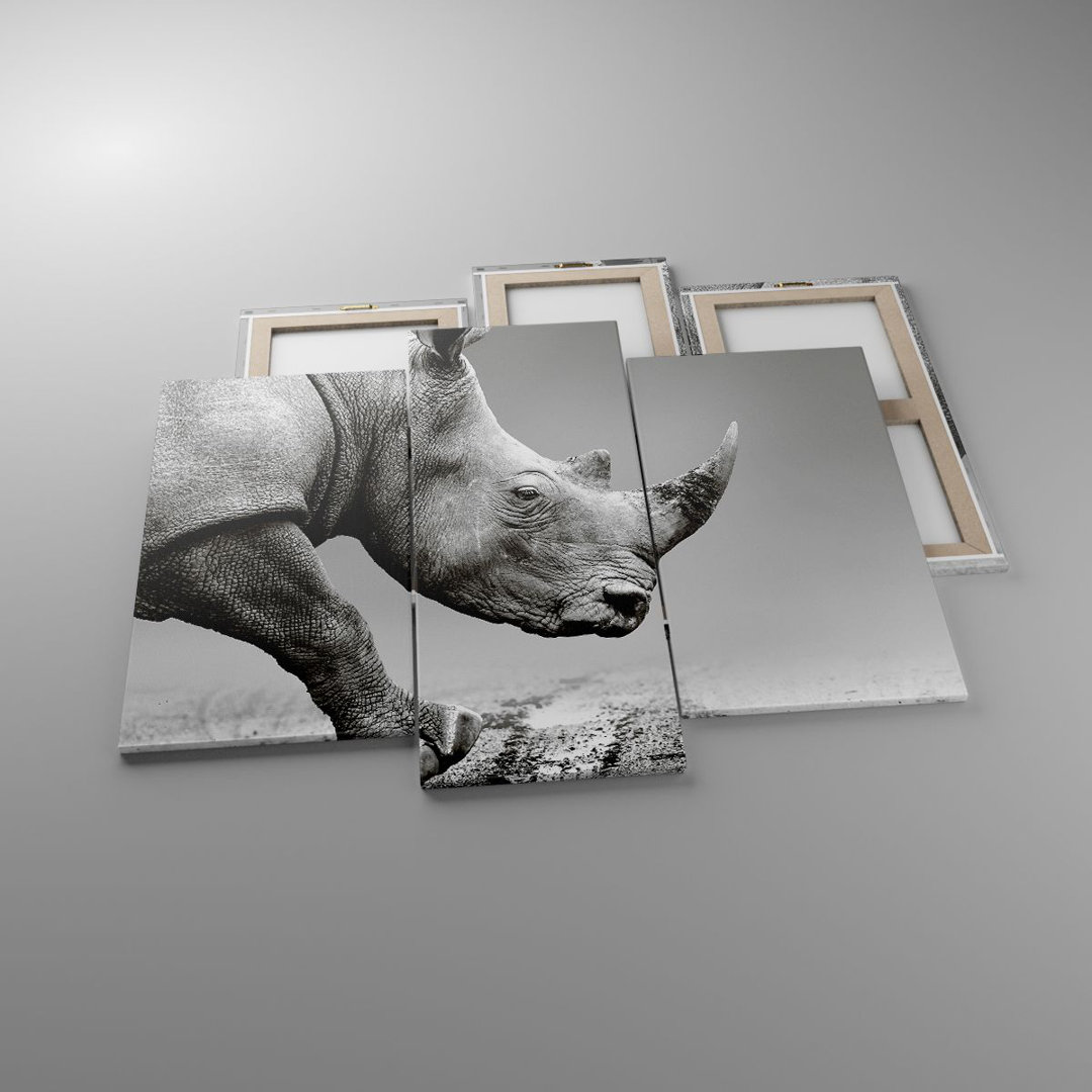 3-tlg. Leinwandbilder-Set Rhinoceros Monochrome Animal