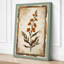 Antique Specimen Botanical - Wrapped Canvas-1620186386-1620186408