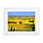 White Framed selected
