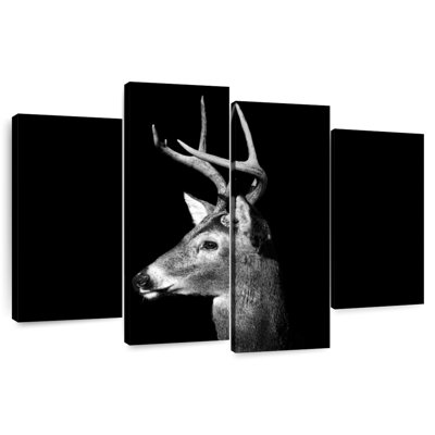 Brampt White Tailed Buck