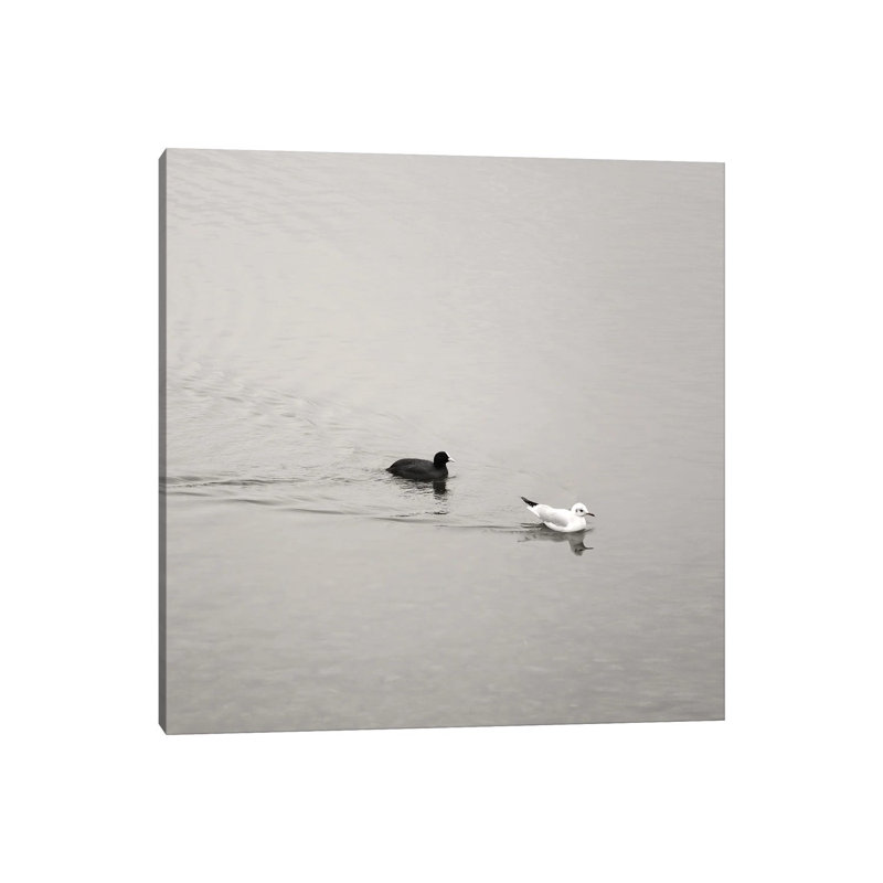 Ying And Yang by Lena Weisbek - Wrapped Canvas Print, 45.72 cm H x 45.72 cm W x 1.91 cm D