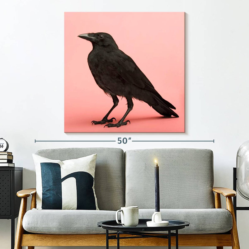 Brampt Black Carrion Crow, 33" H x 33" W