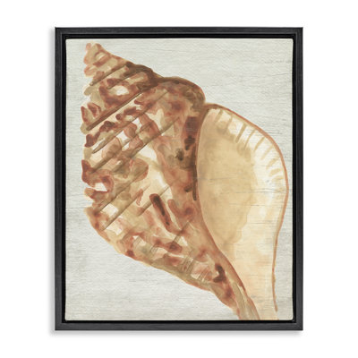  Tan Conch Shell Brown Framed Floater Canvas Wall Art by June Erica Vess