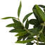 Faux Olive Tree Wide Faux Olive Tree Tree in Pot