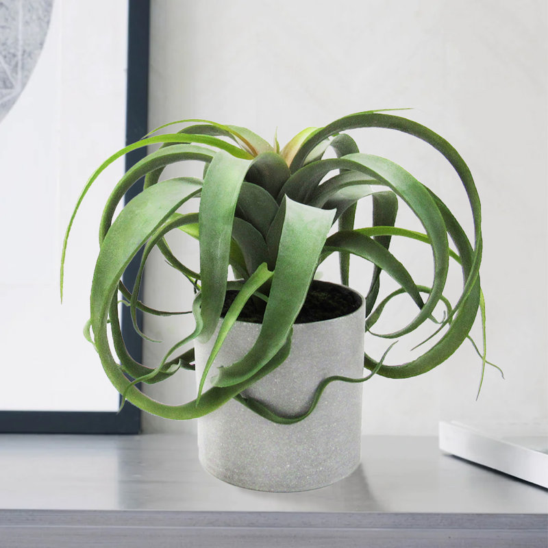 Plante grasse artificielle en pot 9 po Tillandsia