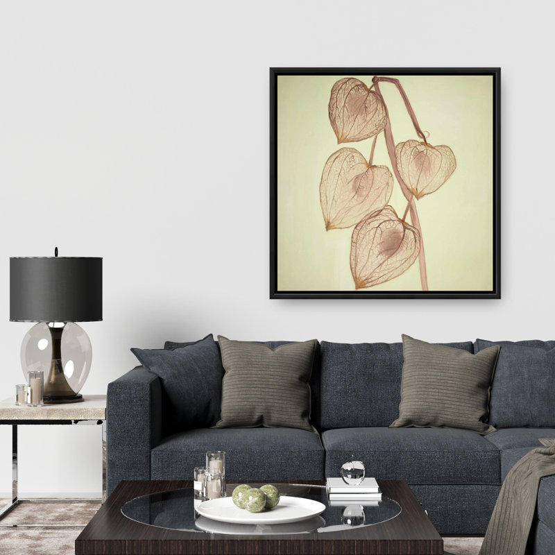 " Growing Ground Cherries "