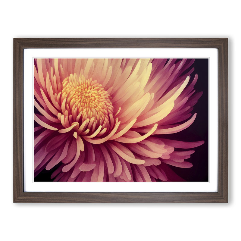 Contemporary Chrysanthemum Flower - Framed Print, 34cm H x 46cm W x 2cm D, Walnut