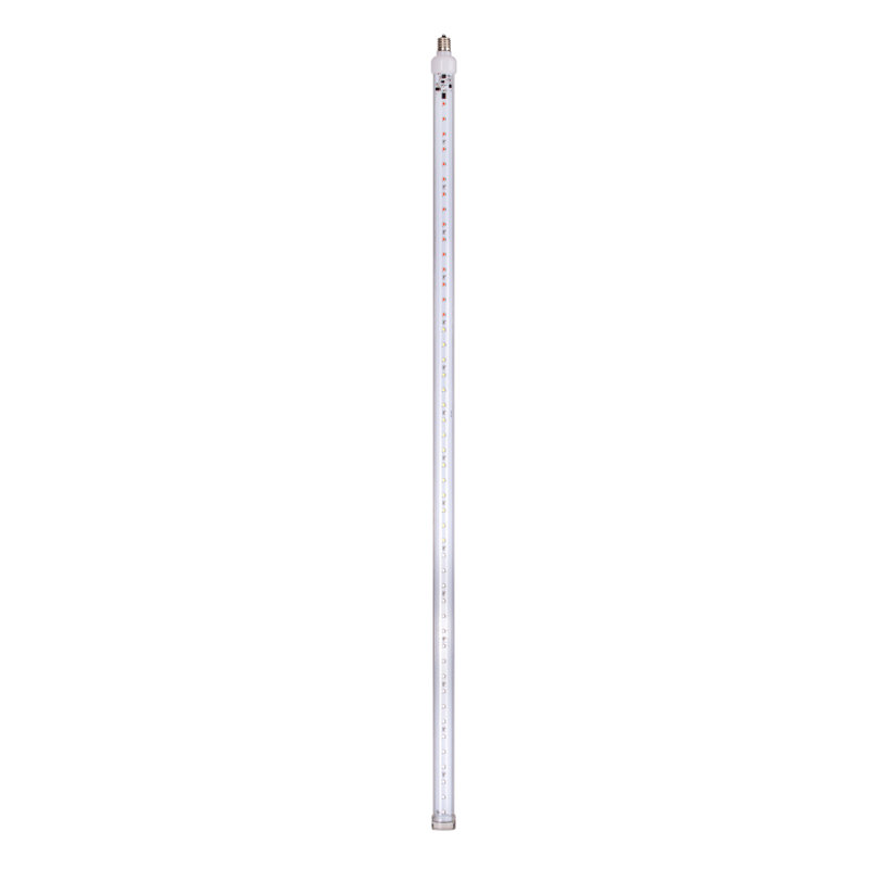 0.09 W C9 E17/Intermediate LED Bulb, Multicolor