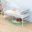 Anylia Twin Metal Loft Bed With Storage Stairs-915089986