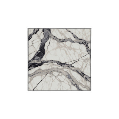 Machine Washable Gray Area Rug
