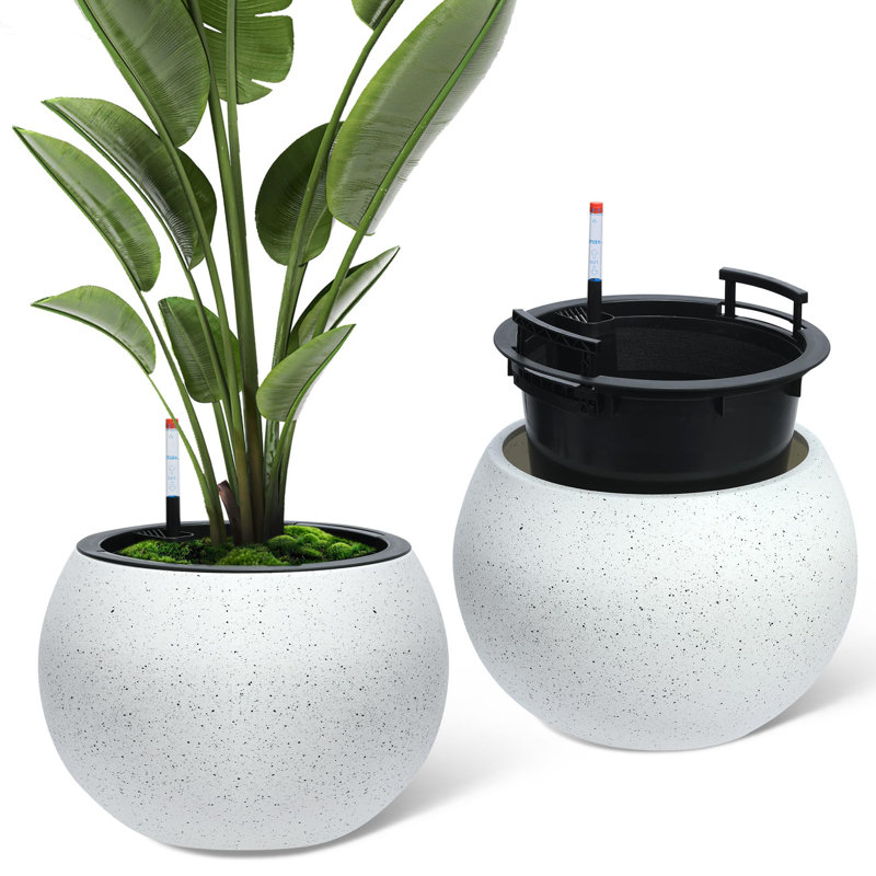 Pot Planter, White, 54.5cm H x 36.5cm W x 37.2cm D