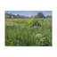 «Flower Field» Armstrong, impression sur toile tendue-27648389