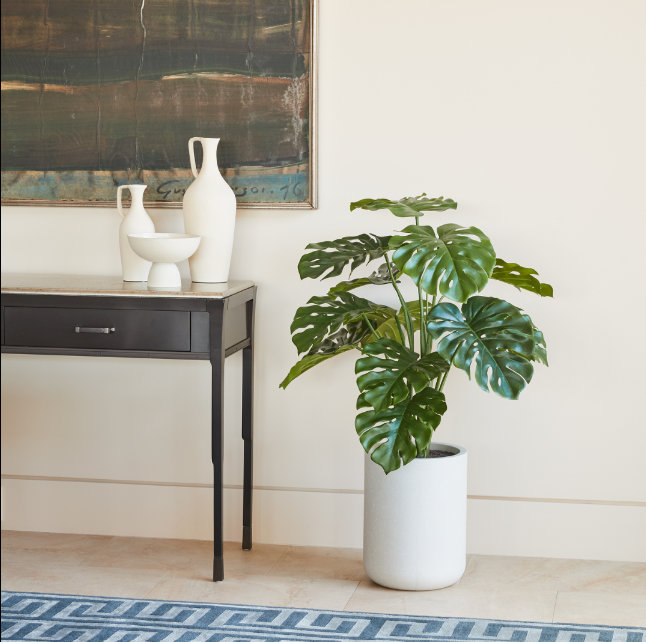 TREE MONSTERA POT 4FT