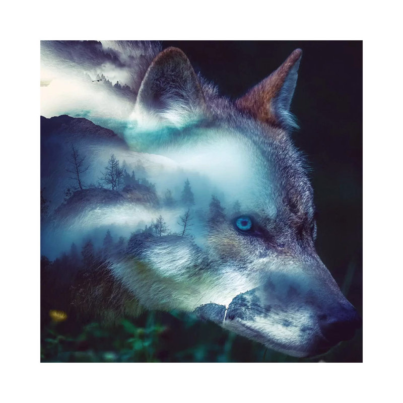 Forest Wolf 1 Piece Wall Art on Canvas, 66.04 cm H x 66.04 cm W x 1.91 cm D, Wrapped Canvas
