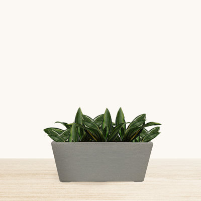 Warnack ECOBO Eco-Friendly Rectangular Planter Box Indoor/Outdoor Planter for Flowers & Plants