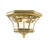 Alexavier Outdoor Flush Mount-800678407-720021276