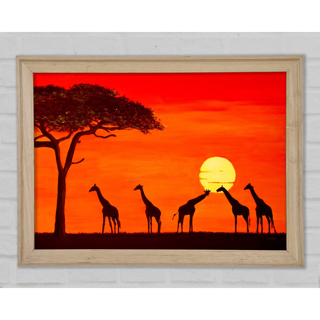 Giraffen bei Sonnenuntergang - Einzelne Bilderrahmen Kunstdrucke