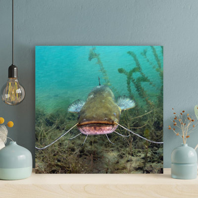 Photographie sous-marine d'un poisson-chat - peinture sur toile tendue
