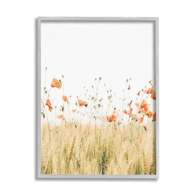 " Rural Poppy Meadow " by Krista Broadway